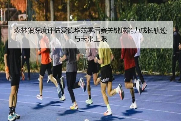森林狼深度评估爱德华兹季后赛关键球能力成长轨迹与未来上限