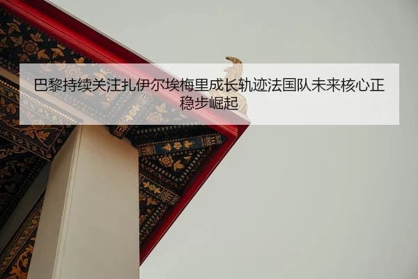 巴黎持续关注扎伊尔埃梅里成长轨迹法国队未来核心正稳步崛起